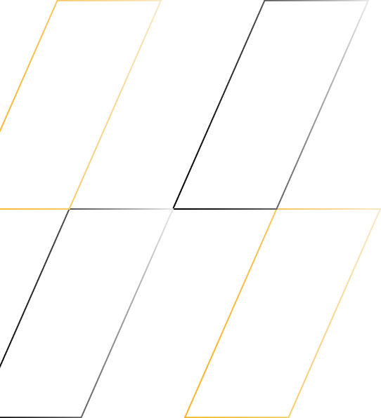 LINES